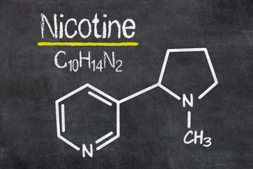 ニコチンを化学合成しているのは誰ですか？